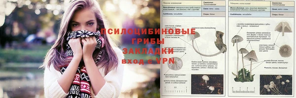 спиды Аркадак