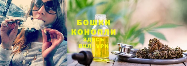 спиды Аркадак