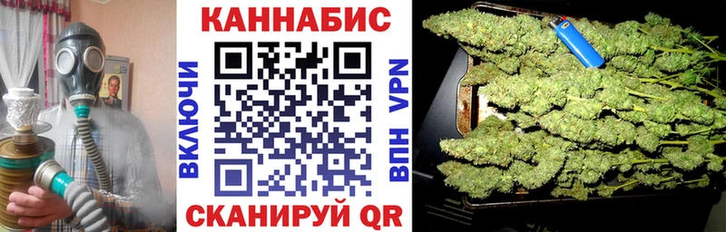 купить   Строитель  Каннабис семена 